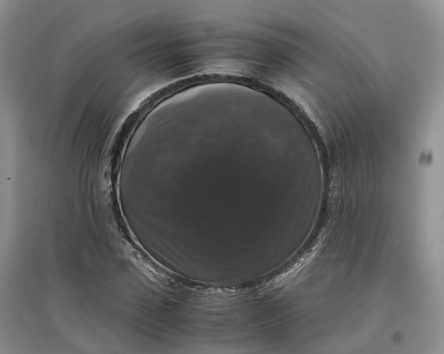 X0000097300923200802291810