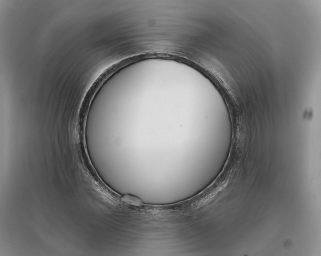 X0000097300924200802291810