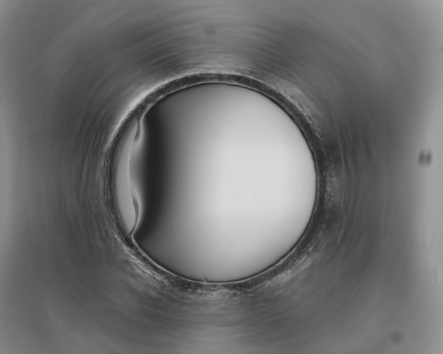 X0000097300926200802291810