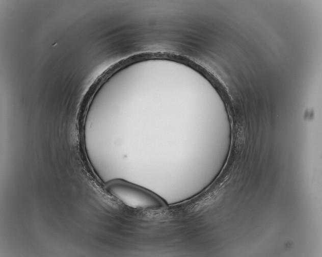 X0000097300927200802291810