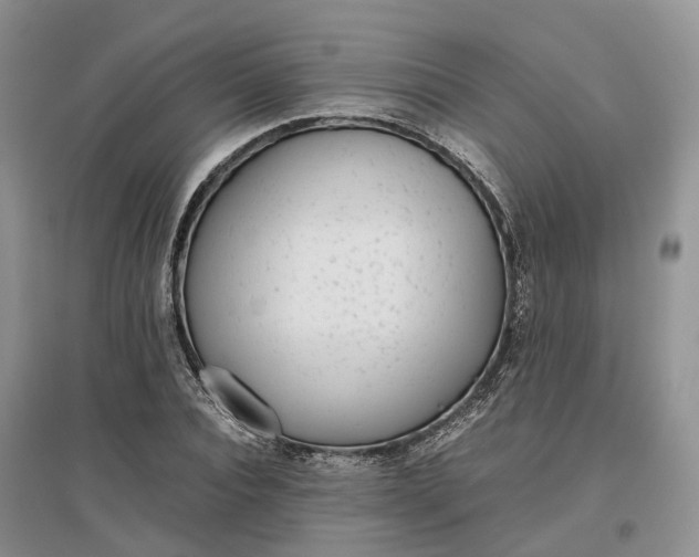 X0000097300928200802291810