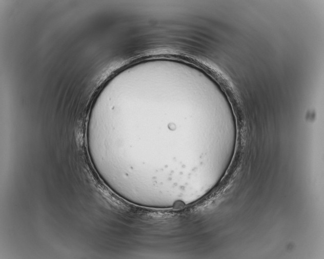 X0000097300929200802291810