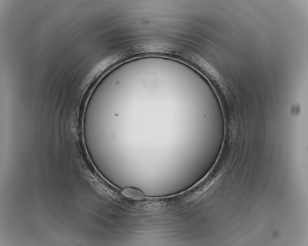 X0000097300930200802291810