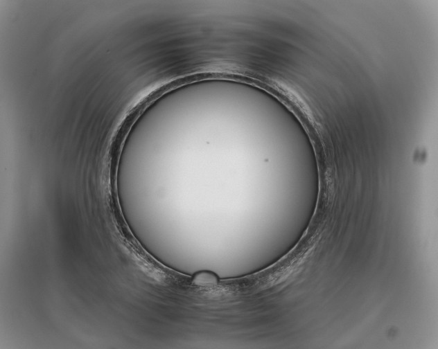 X0000097300931200802291810