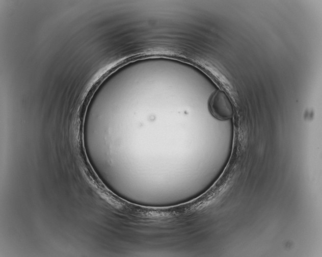 X0000097300933200802291810