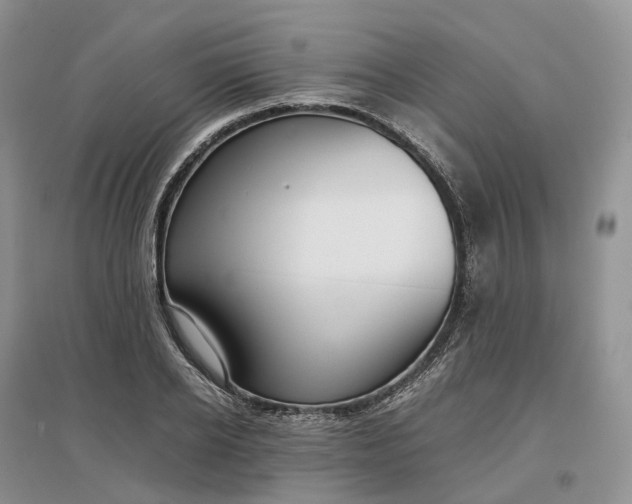 X0000097300934200802291810