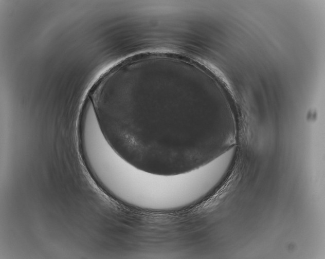 X0000097300935200802291810