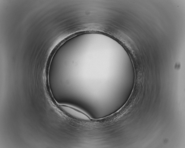 X0000097300936200802291810