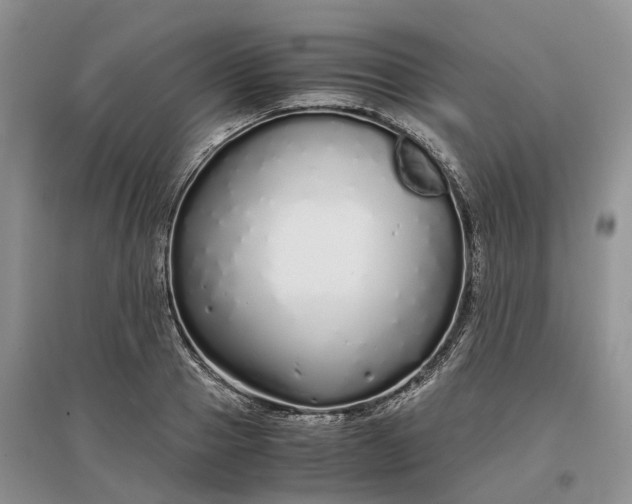 X0000097300937200802291810