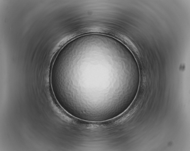 X0000097300938200802291810