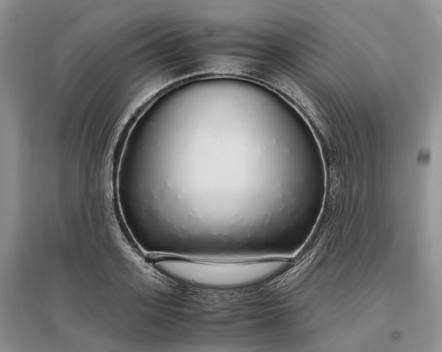 X0000097300939200802291810