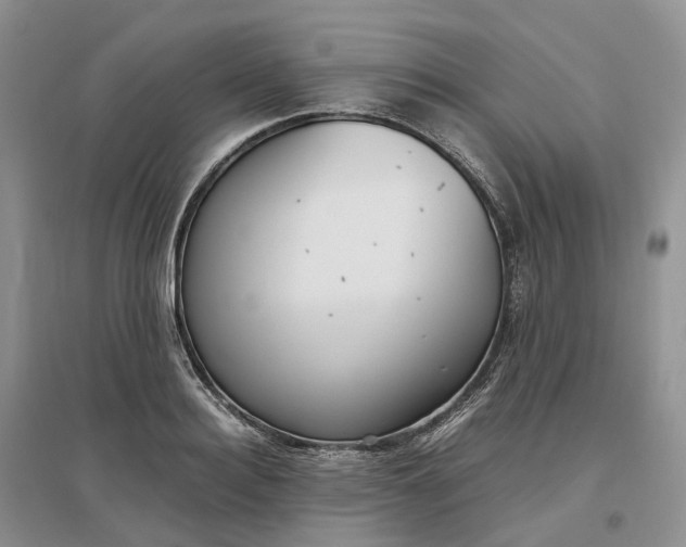 X0000097300940200802291810