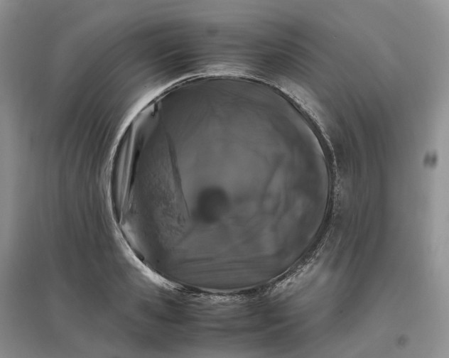 X0000097300941200802291810