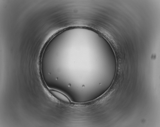 X0000097300942200802291810