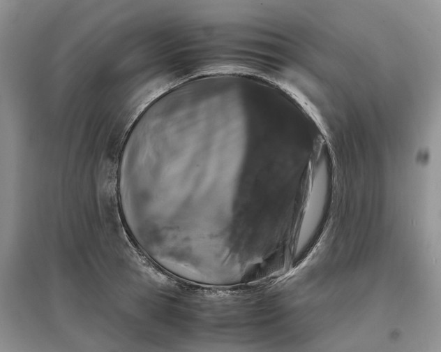 X0000097300945200802291810