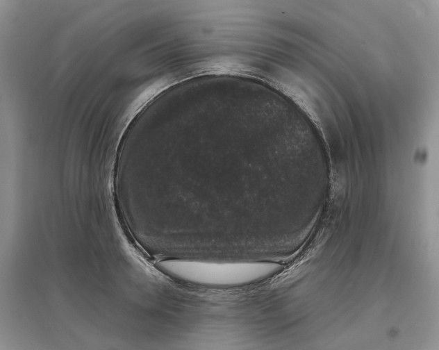 X0000097300946200802291810