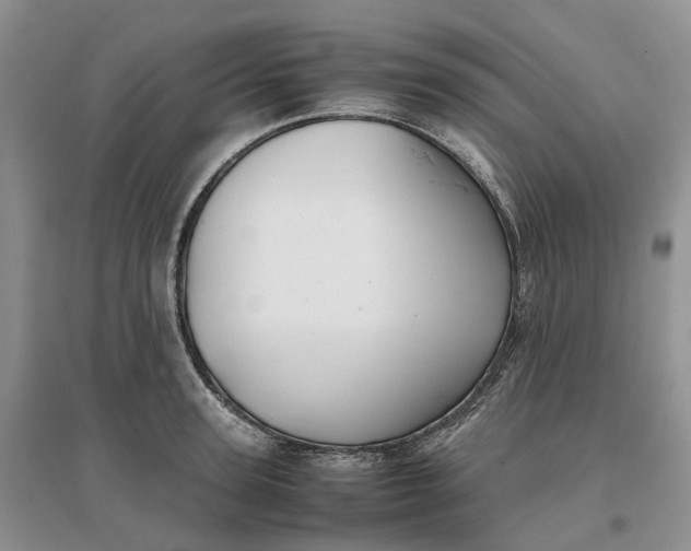 X0000097300947200802291810