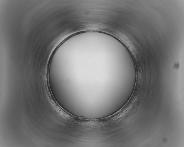 X0000097300948200802291810