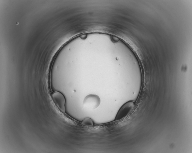 X0000097300949200802291810