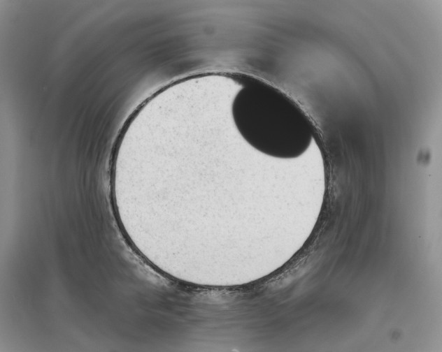 X0000097300950200802291810