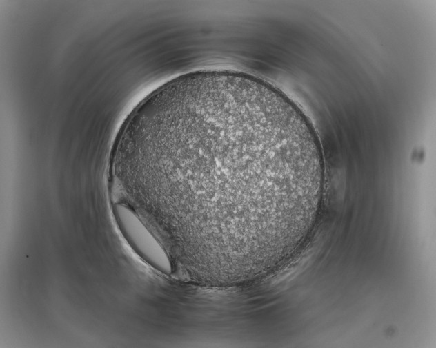 X0000097300951200802291810