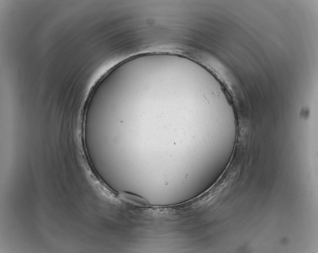 X0000097300952200802291810