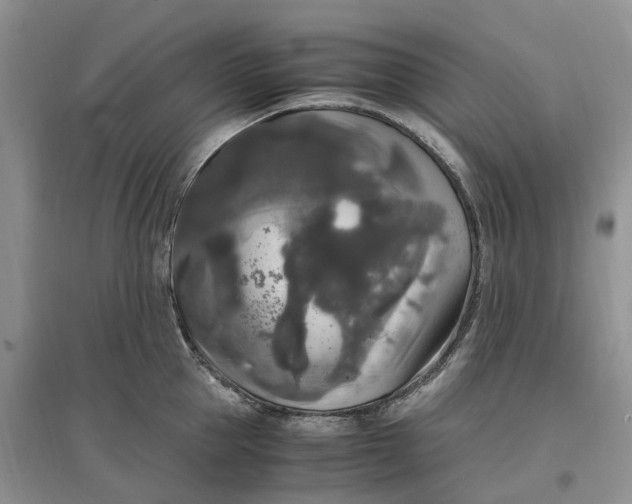 X0000097300953200802291810