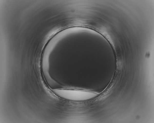 X0000097300954200802291810