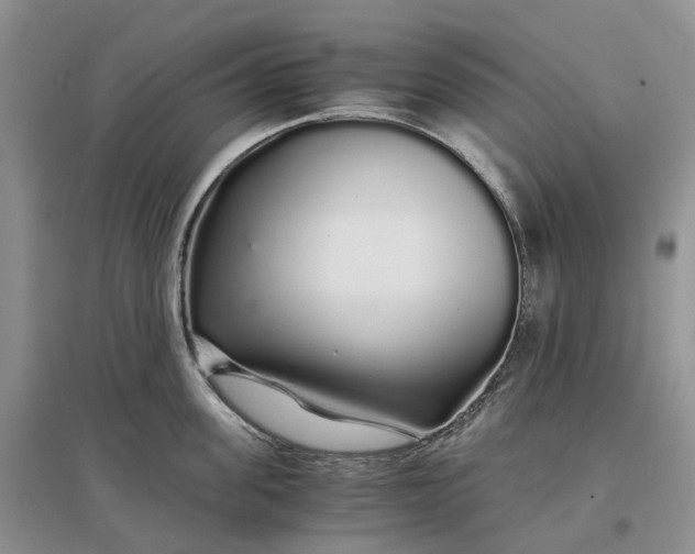 X0000097300955200802291811