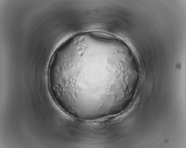 X0000097300957200802291811