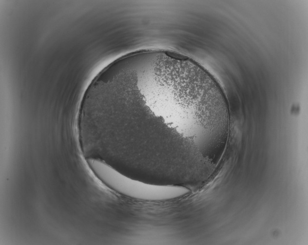 X0000097300959200802291811