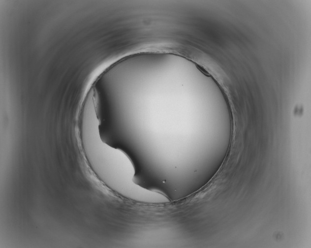 X0000097300960200802291811