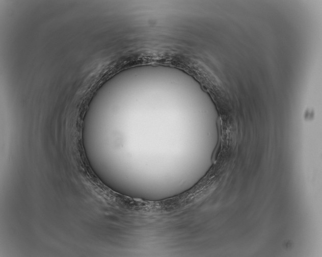 X0000097300961200802291810