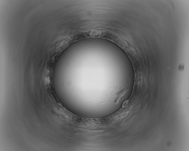 X0000097300962200802291810