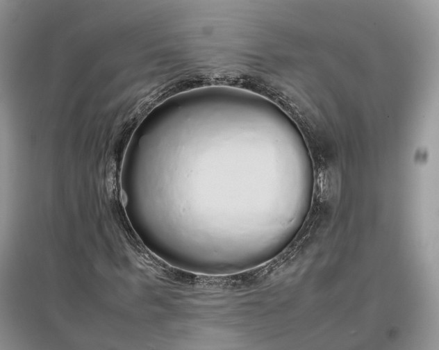 X0000097300963200802291810