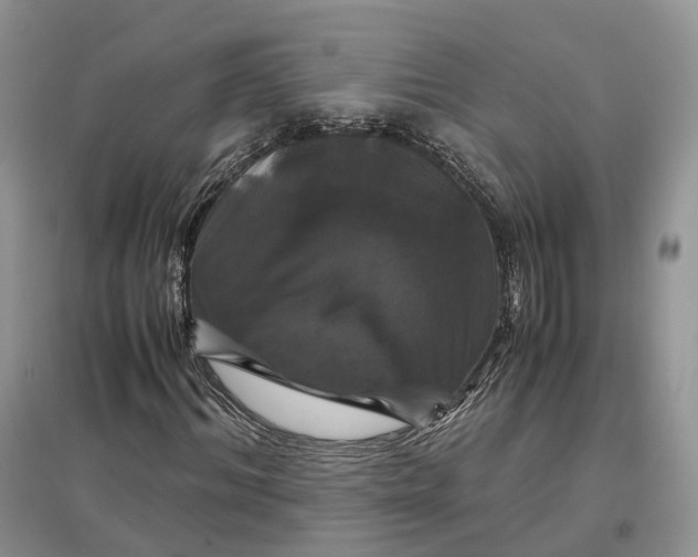 X0000097300964200802291810