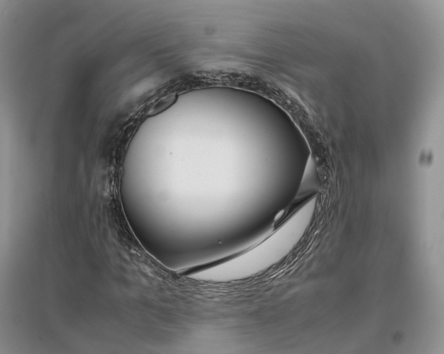 X0000097300965200802291810