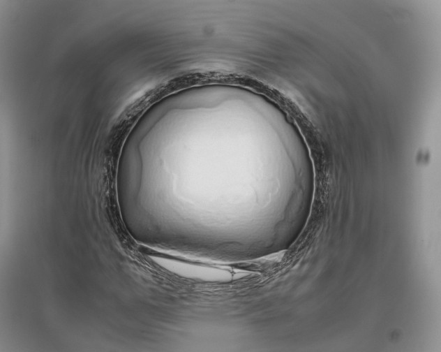 X0000097300967200802291810