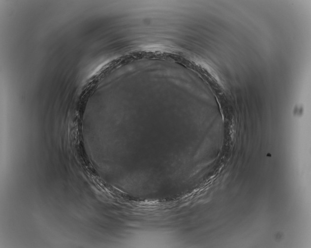 X0000097300968200802291810