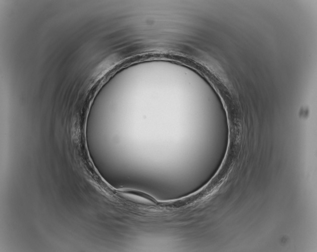 X0000097300969200802291810