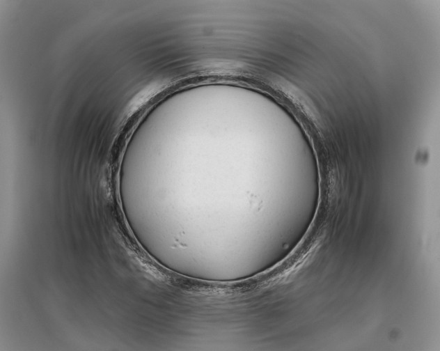 X0000097300970200802291810