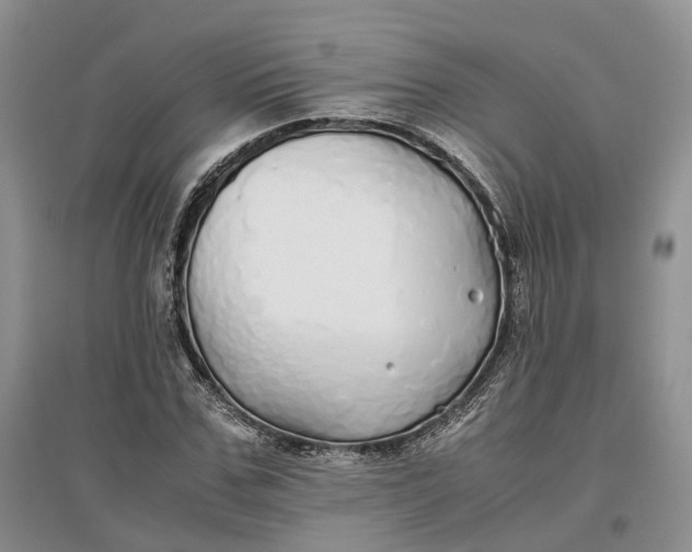 X0000097300971200802291810