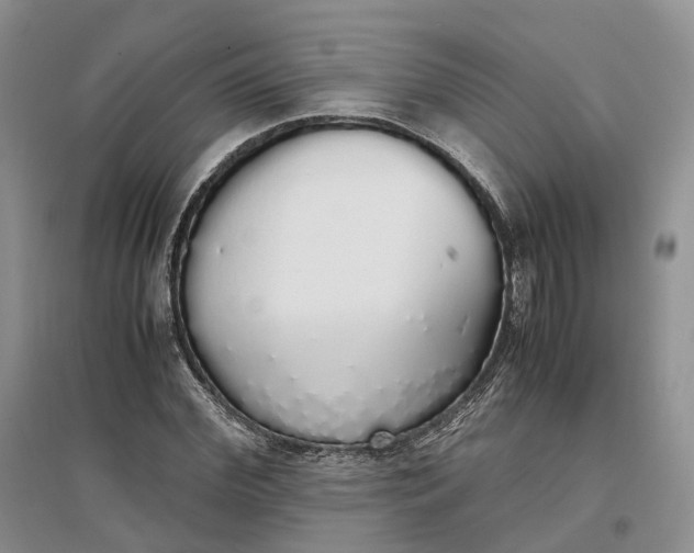 X0000097300972200802291810