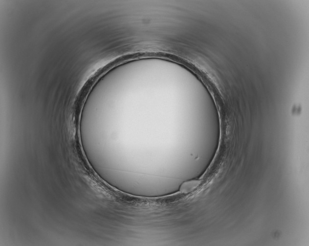 X0000097300973200802291810