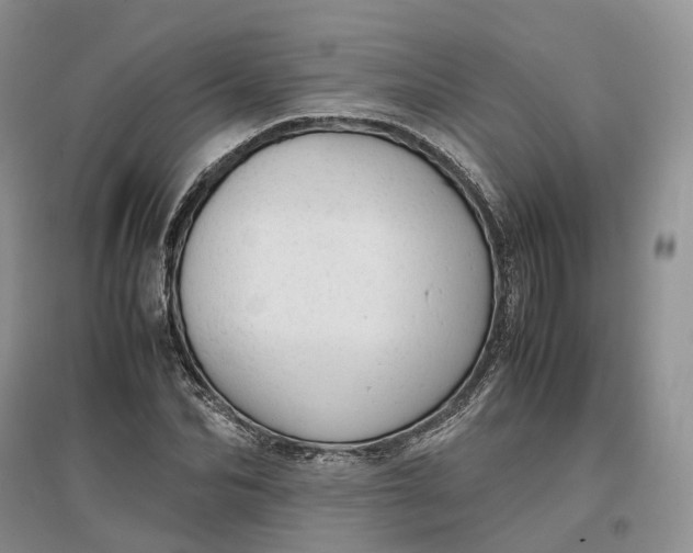 X0000097300974200802291810