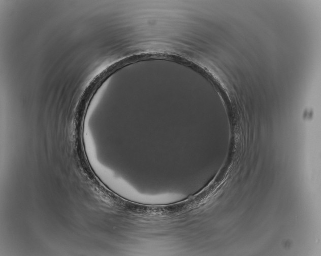 X0000097300975200802291810