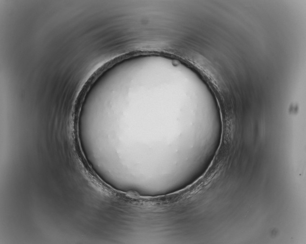 X0000097300976200802291810