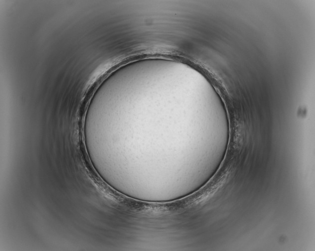 X0000097300978200802291810