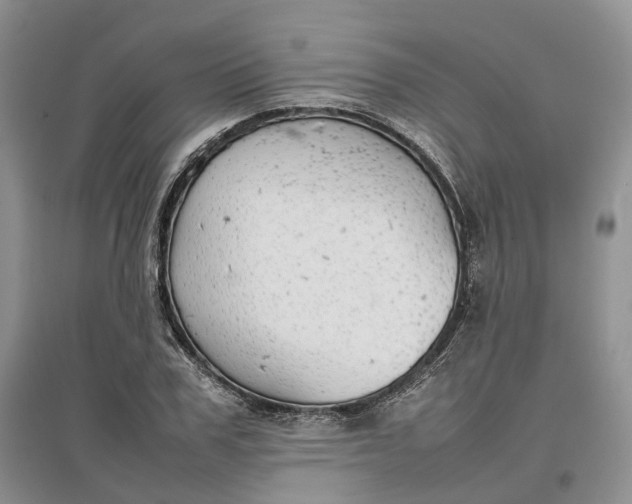 X0000097300979200802291810