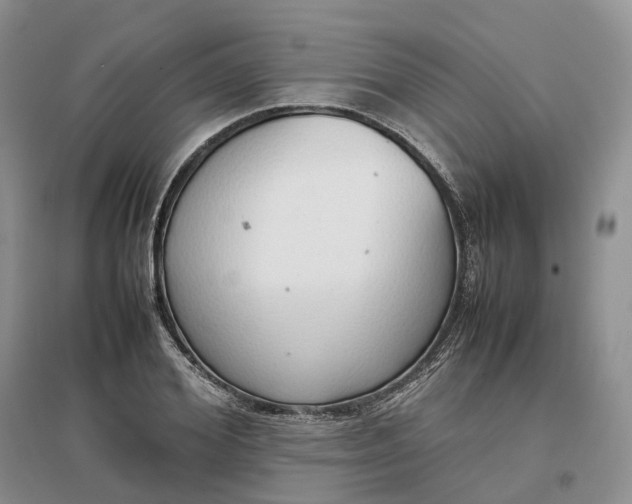 X0000097300980200802291810